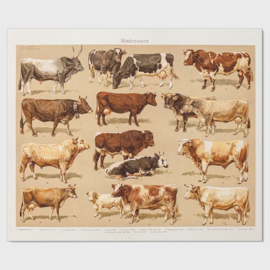 Vintage Geschenkpapier (Flach)