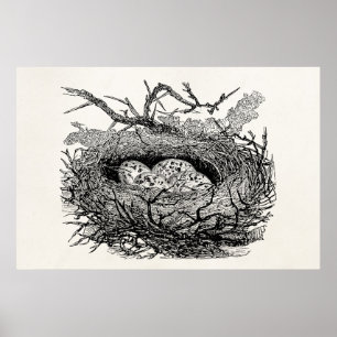 Vintage, gesprenkelte Eier Bird Nest Personalisier Poster