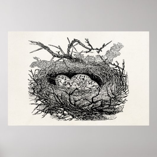 Vintage, gesprenkelte Eier Bird Nest Personalisier Poster (Vorne)