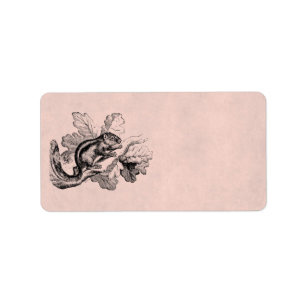 Vintage gestreiftes Eichhörnchen 1800s Adressaufkleber
