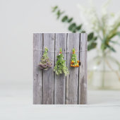 Vintage, getrocknete Kräuter aus Holz Postkarte (Stehend Vorderseite)