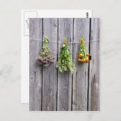 Vintage, getrocknete Kräuter aus Holz Postkarte (Vorne/Hinten)