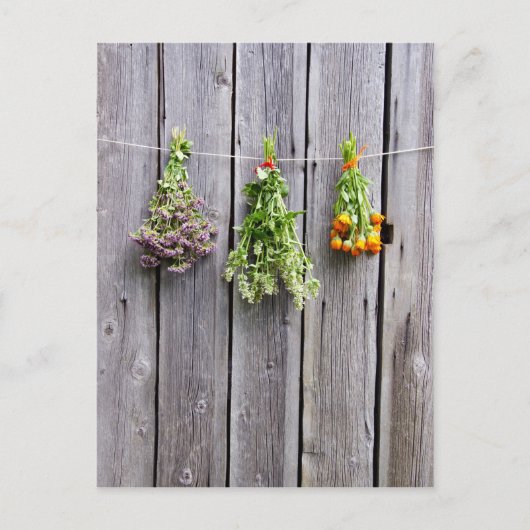 Vintage, getrocknete Kräuter aus Holz Postkarte (Vorderseite)