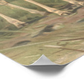 Vintage Giraffe 1894 Print African Plains Poster (Ecke)