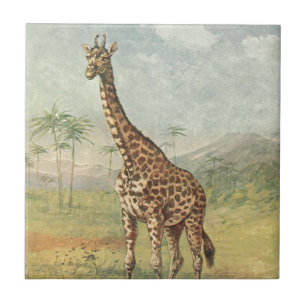 Vintage Giraffe Fliese