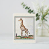Vintage Giraffe-Illustration Postkarte (Stehend Vorderseite)