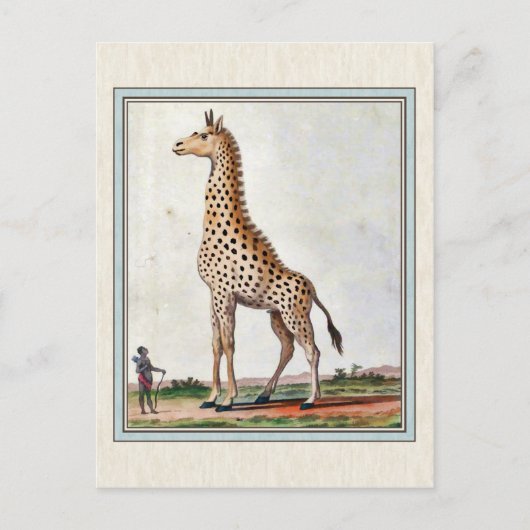 Vintage Giraffe-Illustration Postkarte (Vorderseite)