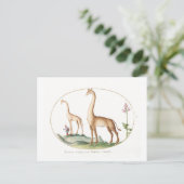 Vintage Giraffe-Illustration Postkarte (Stehend Vorderseite)