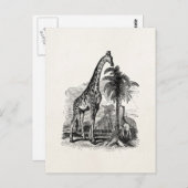 Vintage Giraffe Personalisierte Tierdarstellung Postkarte (Vorne/Hinten)