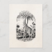 Vintage-Giraffe Personalisierte Tierillustration