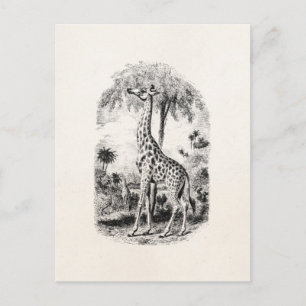 Vintage-Giraffe Personalisierte Tierillustration Postkarte