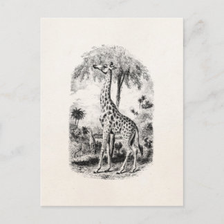 Vintage-Giraffe Personalisierte Tierillustration Postkarte