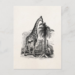 Vintage-Giraffe Personalisierte Tierillustration Postkarte