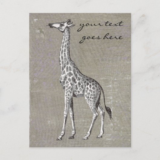 Vintage Giraffe Postkarte (Vorderseite)