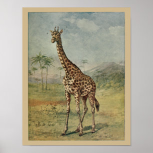 Vintage-Giraffe-Tier-Kunst-Druck Naturgeschichte Poster