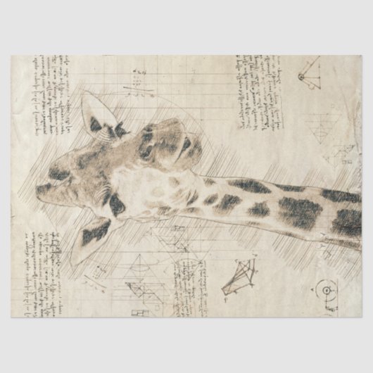 Vintage Giraffe Zeichnend Seidenpapier (Vorderseite)