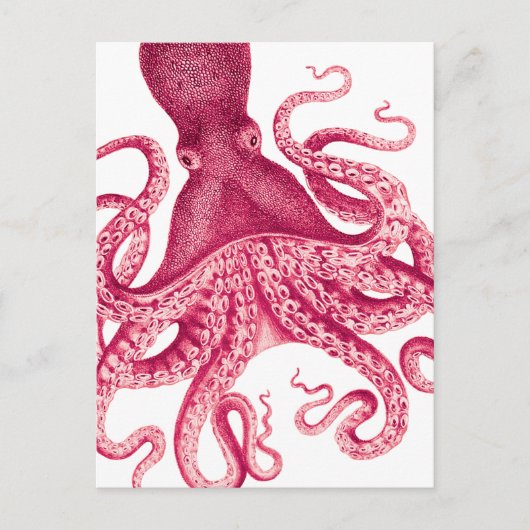 Vintage Girly Pink Octopus Illustration Postkarte (Vorderseite)