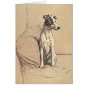 Vintage - Glatter Foxterrier,