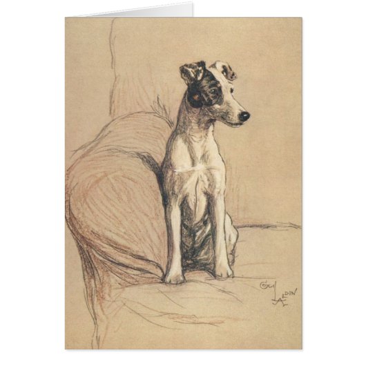 Vintage - Glatter Foxterrier, (Vorne)