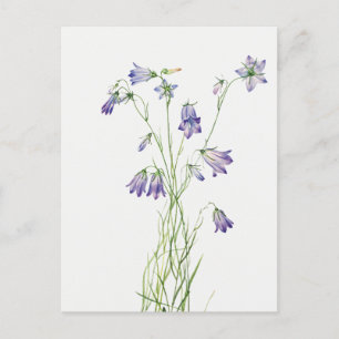 Vintage Glockenblumen-Blumen-Postkarte Postkarte