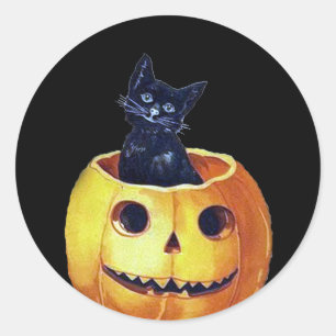 Vintage glückliche Halloween-Katze in einem Kürbis Runder Aufkleber