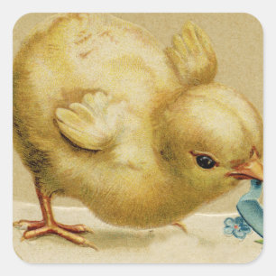 Vintage glückliches Osterküken mit blauen Blumen Quadratischer Aufkleber