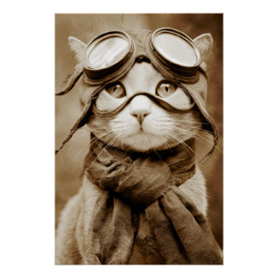 Vintage Goggle Cat Schal Retro Druck