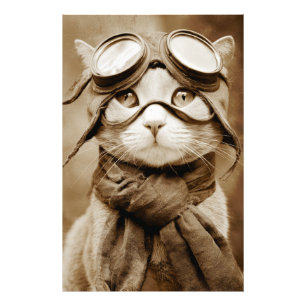 Vintage Goggle Cat Schal Retro Druck
