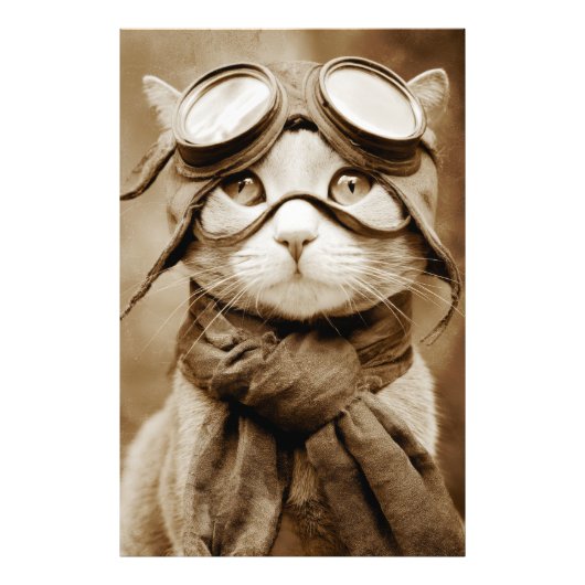 Vintage Goggle Cat Schal Retro Druck (Vorne)