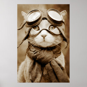 Vintage-Goggle-Cat-Schal Retro-Muster Poster