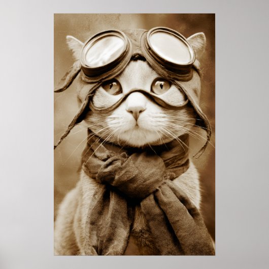 Vintage-Goggle-Cat-Schal Retro-Muster Poster (Vorne)