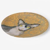 Vintage Golddamast Sphynx Katze durch Rex Katzen Pappteller (Schrägansicht)