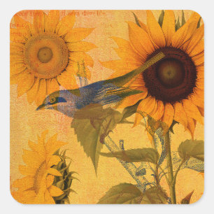Vintage Goldene Sonnenblumen Collage Quadratischer Aufkleber