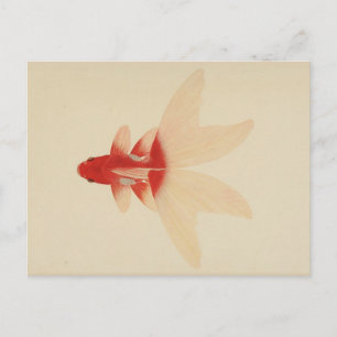 Vintage Goldfisch-Postkarte Postkarte