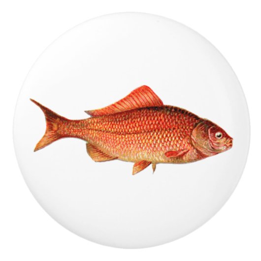 Vintage Goldfische/-Goldfish Keramikknauf (Vorderseite)