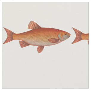 Vintage Goldfische Stoff