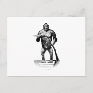 Vintage Gorilla-Vorlage für 1800er Jahre - Affen u Postkarte