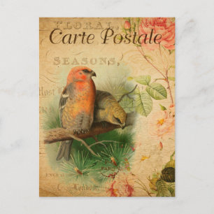 Vintage Gosbeak Vögel Floral Französische Carte Po Postkarte