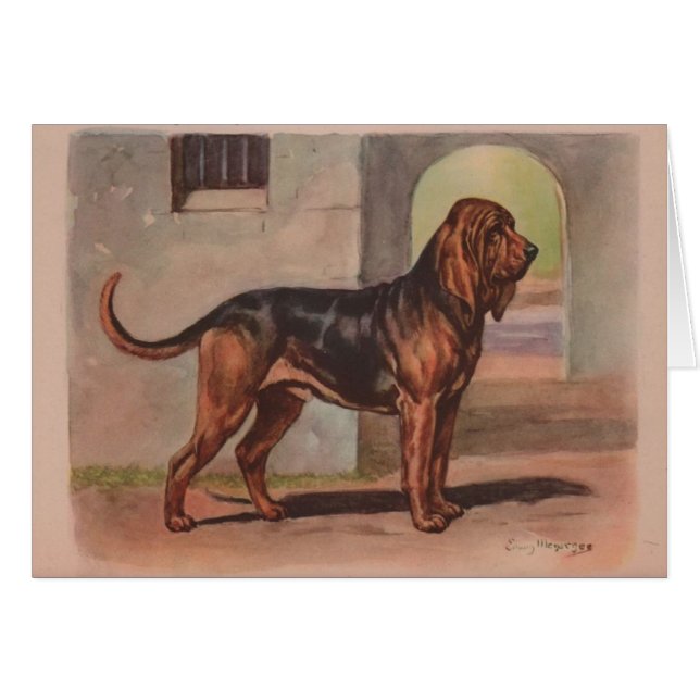 Vintage Grafik - Bluthund-Hund, (Vorderseite (Horizontal))