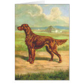 Vintage Grafik - Setter-Hund, (Vorne)