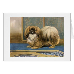 Vintage Grafik von Pekingese Hund,
