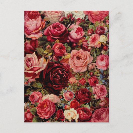 Vintage grafische Postkarte (Vorderseite)