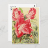 Vintage grafische Postkarte (Vorne/Hinten)