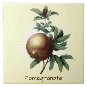 Vintage-Granatapfel-Frucht Botanische Kunst Fliese