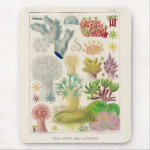 Vintage Great Barrier Reef von Australien Alcyonar Mousepad