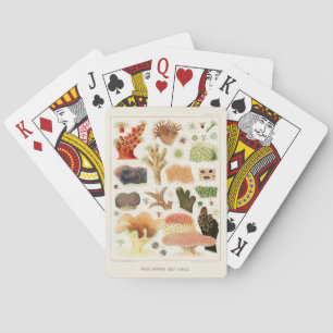 Vintage Great Barrier Reef von Australien Korallen Spielkarten