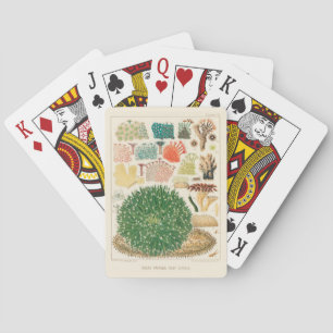 Vintage Great Barrier Reef von Australien Korallen Spielkarten