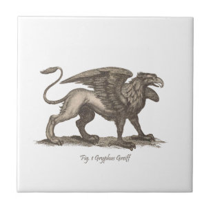 Vintage-Greif (Gryphus Greiff) Illustration. Fliese