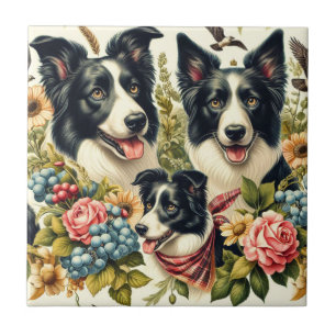 Vintage Grenz-Collie-Illustration Fliese