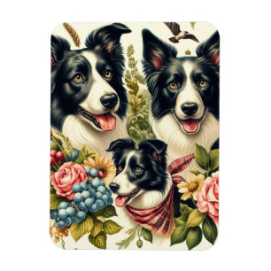 Vintage Grenz-Collie-Illustration Magnet